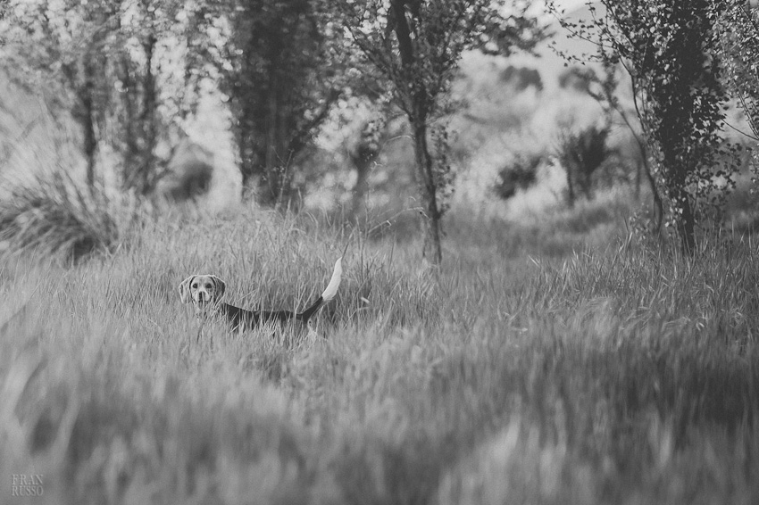 fotografia de boda artística fotografo de boda
