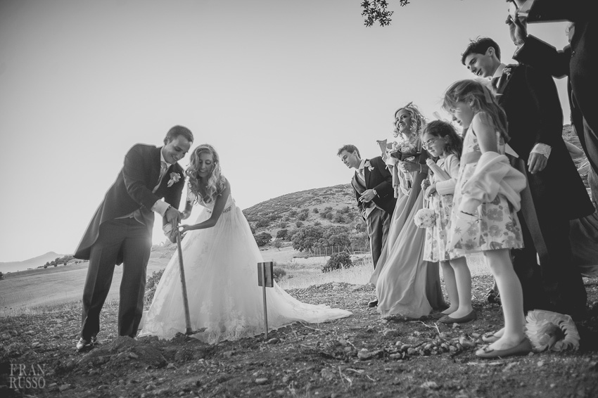 fotografo de boda