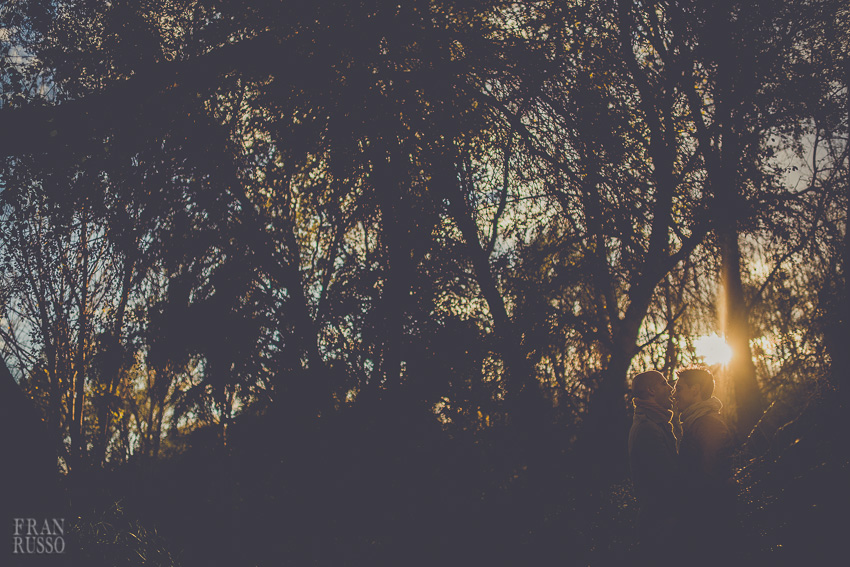 FR1_9366